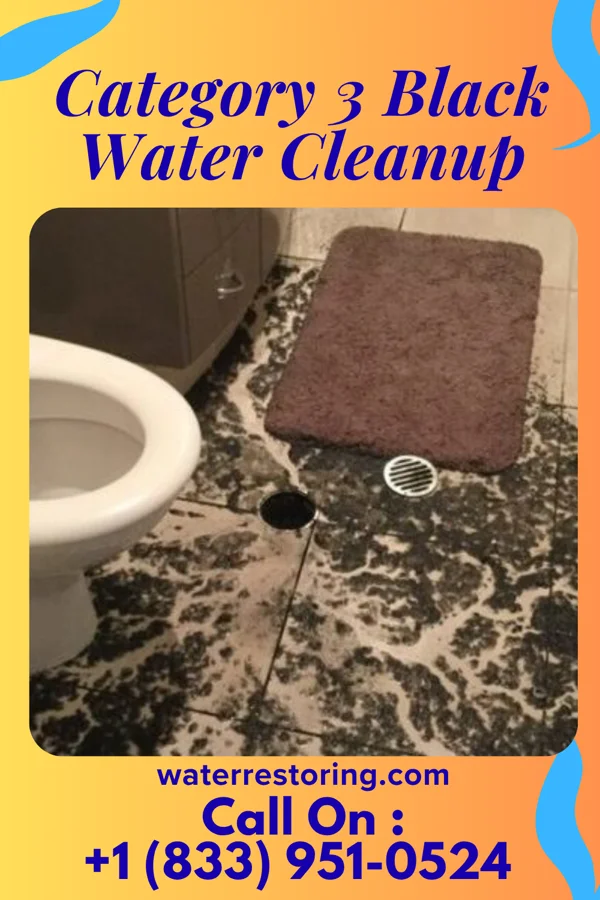 Category 3 Black Water Cleanup in Blacksville, WV