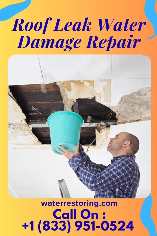 Roof Leak Water Damage Repair in Blacksville, WV