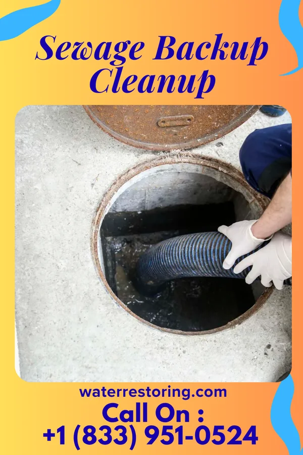 Sewage Backup Cleanup in Blacksville, WV