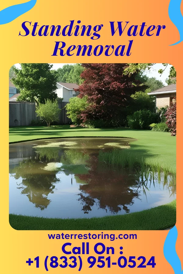 Standing Water Removal in Blacksville, WV